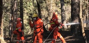 La Guida - Nuove divise per la squadra Aib e Protezione Civile di Verzuolo