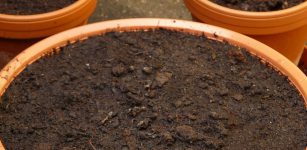 La Guida - L’orto sul balcone 4, il terriccio