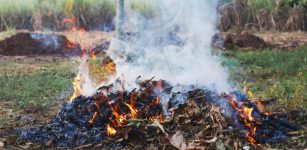 La Guida - Abbruciamenti di sterpaglie e scarti agricoli di nuovo consentiti