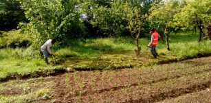 La Guida - La lotteria del click day per i lavoratori stagionali in agricoltura e turismo