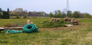 Parco fluviale, nuove macchie di arbusti e bosco autoctono La Guida - Parco fluviale, nuove macchie di arbusti e bosco autoctono