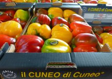 La Guida - Peperone Cuneo, prodotto agroalimentare tradizionale