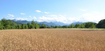 La Guida - Valorizzare le produzioni cerealicole di qualità