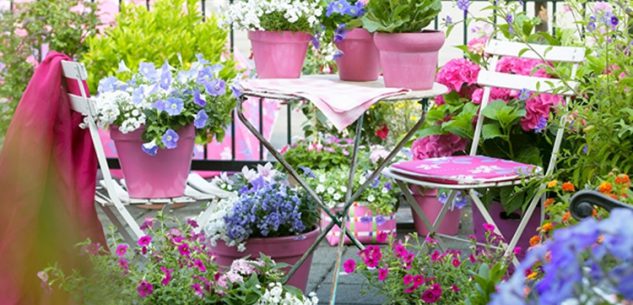 La Guida - La bella stagione porta il desiderio di colorare i terrazzi e i giardini