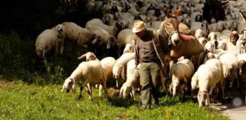 La Guida - La Scuola di pastorizia, per il domani della nostra montagna e dei giovani