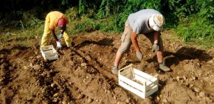 La Guida - Dalla terra de “La Cascina” l’aiuto a un centro disabili in Argentina