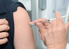 La Guida - 20.487 vaccini contro il Covid oggi in Piemonte