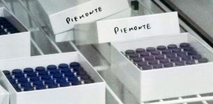Covid, 122 nuovi contagiati in provincia di Cuneo La Guida - Covid, 122 nuovi contagiati in provincia di Cuneo