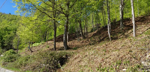 La Guida - Intervento della squadra di operai forestali a Valmala