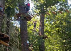 La Guida - Il Parco Avventura Tre Querce riapre il 2 giugno