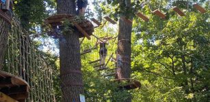 La Guida - Il Parco Avventura Tre Querce riapre il 2 giugno