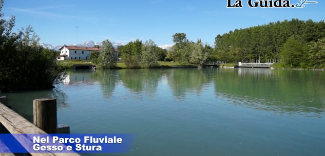 La Guida - “Nel parco fluviale ci sono zone dimenticate?” (video)