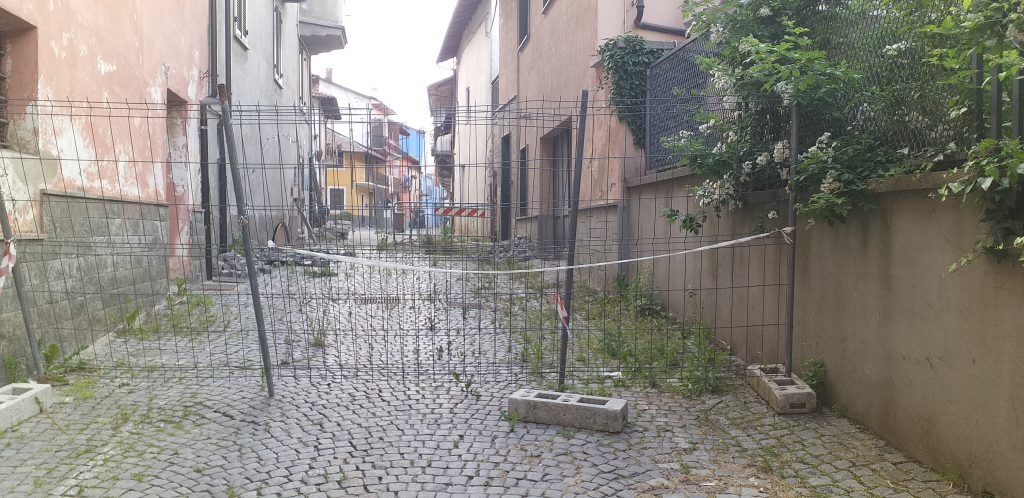via Grandis con erbacce