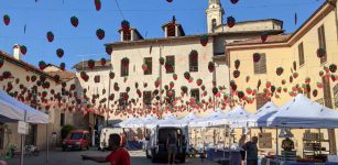 La Guida - Festa a Peveragno con il mercato della fragola nel centro storico