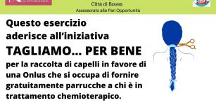 La Guida - Parrucche per la chemioterapia: si raccolgono capelli