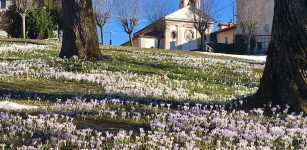 La Guida - Montaldo di Mondovì, il fascino ameno di luoghi antichi
