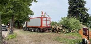 La Guida - Interventi sugli alberi per il tarlo asiatico, Corso Kennedy chiuso al traffico