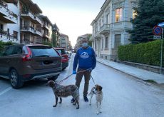 La Guida - L’intera famiglia è positiva al covid, i volontari si prendono cura dei cani