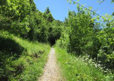 La Guida - Il recupero dei sentieri di montagna in prospettiva religiosa e di fede