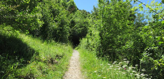 La Guida - Il recupero dei sentieri di montagna in prospettiva religiosa e di fede