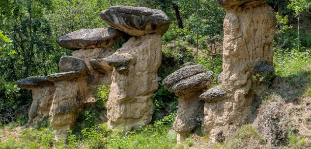 La Guida - A Villar San Costanzo la riserva naturale dei “Ciciu”