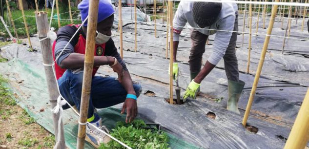 La Guida - Migranti stagionali e senza fissa dimora, se ne parla questa sera a Cuneo