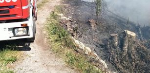 La Guida - Incendio boschivo nella zona di Chiusa Pesio, nessun ferito