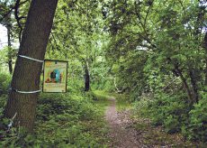 La Guida - Sentiero sul Maira, un viaggio nella  natura da Villafalletto a Vottignasco