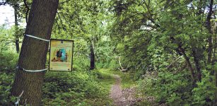 La Guida - Sentiero sul Maira, un viaggio nella  natura da Villafalletto a Vottignasco