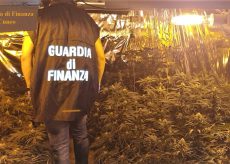 La Guida - Coltivava 100 piante di marijuana in una serra, arrestato (video)