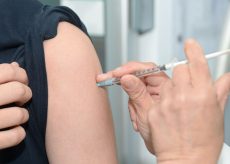 La Guida - Oggi in Piemonte vaccinate altre 40.531 persone