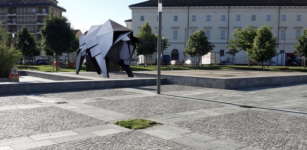 La Guida - Un toro per restituire l’identità perduta di piazza Foro Boario