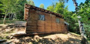 Operai delle squadre forestali regionali al lavoro a Frassino La Guida - Operai delle squadre forestali regionali al lavoro a Frassino