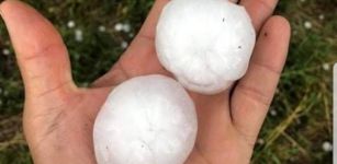 La Guida - Cambiamenti climatici: Coldiretti stima 19 milioni di danni