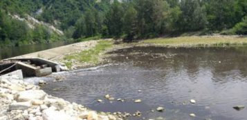 La Guida - Acqua marrone e pesci morti nel Tanaro: l’Arpa indaga