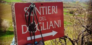 La Guida - Risistemati e segnalati 3 dei 7  “Sentieri naturalistici del Dogliani”