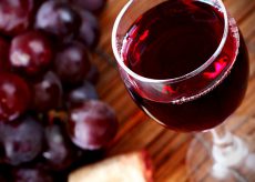 La Guida - Vini, territorio e gusto: un corso di degustazione di vino a Torino