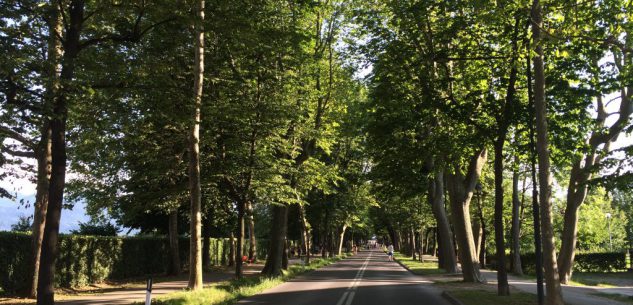 La Guida - Revoca temporanea dell’area pedonale in viale degli Angeli