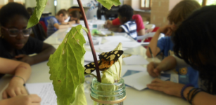 La Guida - Laboratorio di scrittura creativa a Roccavione