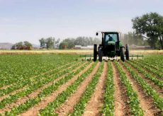 La Guida - Aumento contrattuale del 5% per quadri e impiegati agricoli piemontesi