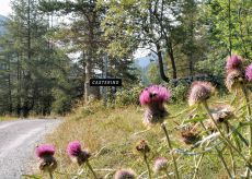 La Guida - Lunedì chiusa la strada per Casterino