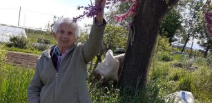 Borgo, addio alla storica titolare della ferramenta Borello La Guida - Borgo, addio alla storica titolare della ferramenta Borello