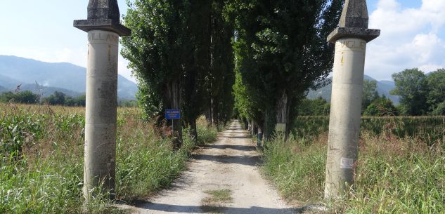 La Guida - Bernezzo, la prima apertura al pubblico del parco di villa Villanis