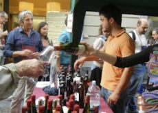 La Guida - Due domeniche con la Festa del Vino ad Alba