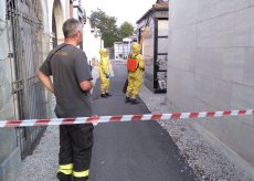 La Guida - Peveragno, Vigili del Fuoco rimuovono un nido di calabroni