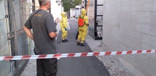 La Guida - Peveragno, Vigili del Fuoco rimuovono un nido di calabroni