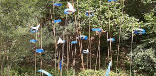 La Guida - Il bosco delle cicale, l’arte sonora nella natura della valle Stura