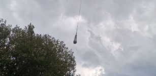Recupero di un bovino infortunato a Garessio La Guida - Recupero di un bovino infortunato a Garessio