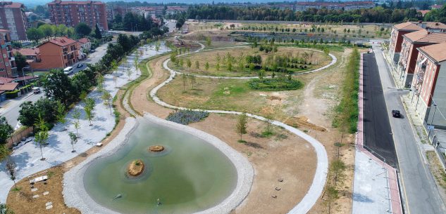 La Guida - Messi a dimora i 536 alberi del Parco Parri, si lavora per le aree sportive