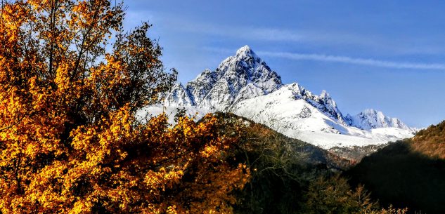 La Guida - Nuova vita alla rete dei sentieri fra Martiniana Po e Gambasca